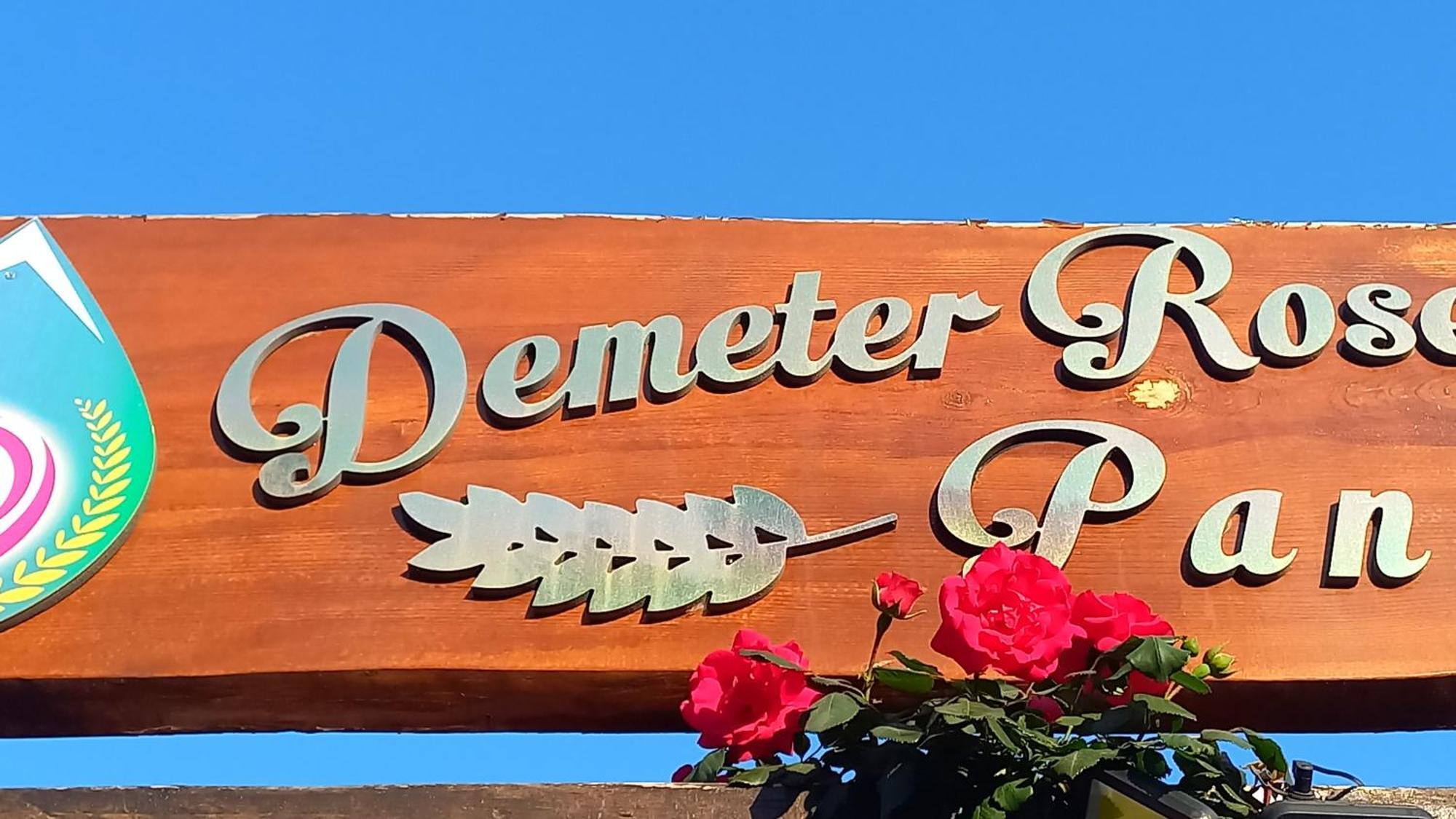 Demeter Rose Stonehouse Pansion Apartment Antalya Exterior photo