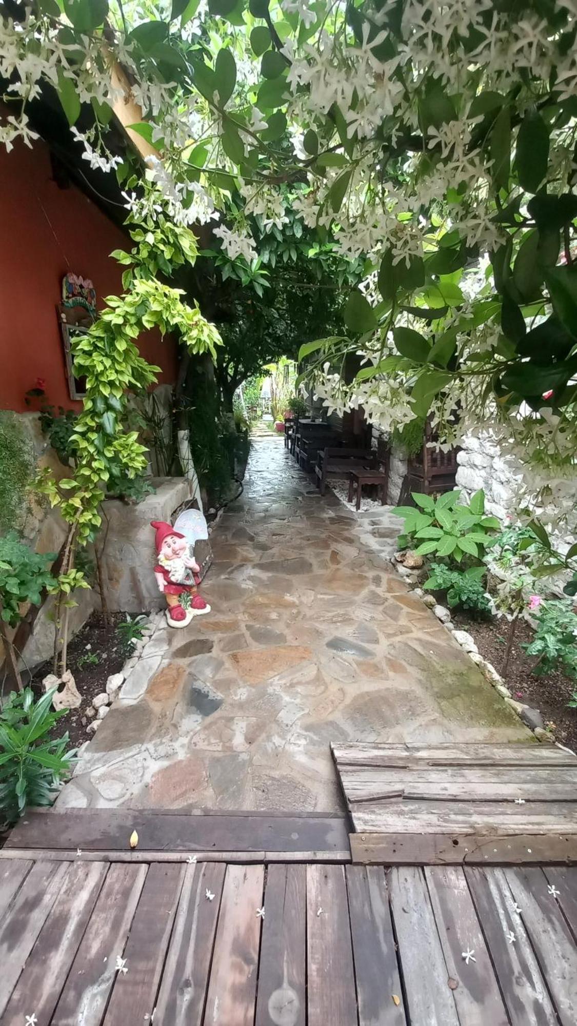 Demeter Rose Stonehouse Pansion Apartment Antalya Exterior photo